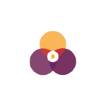 marketing studio client de ADN